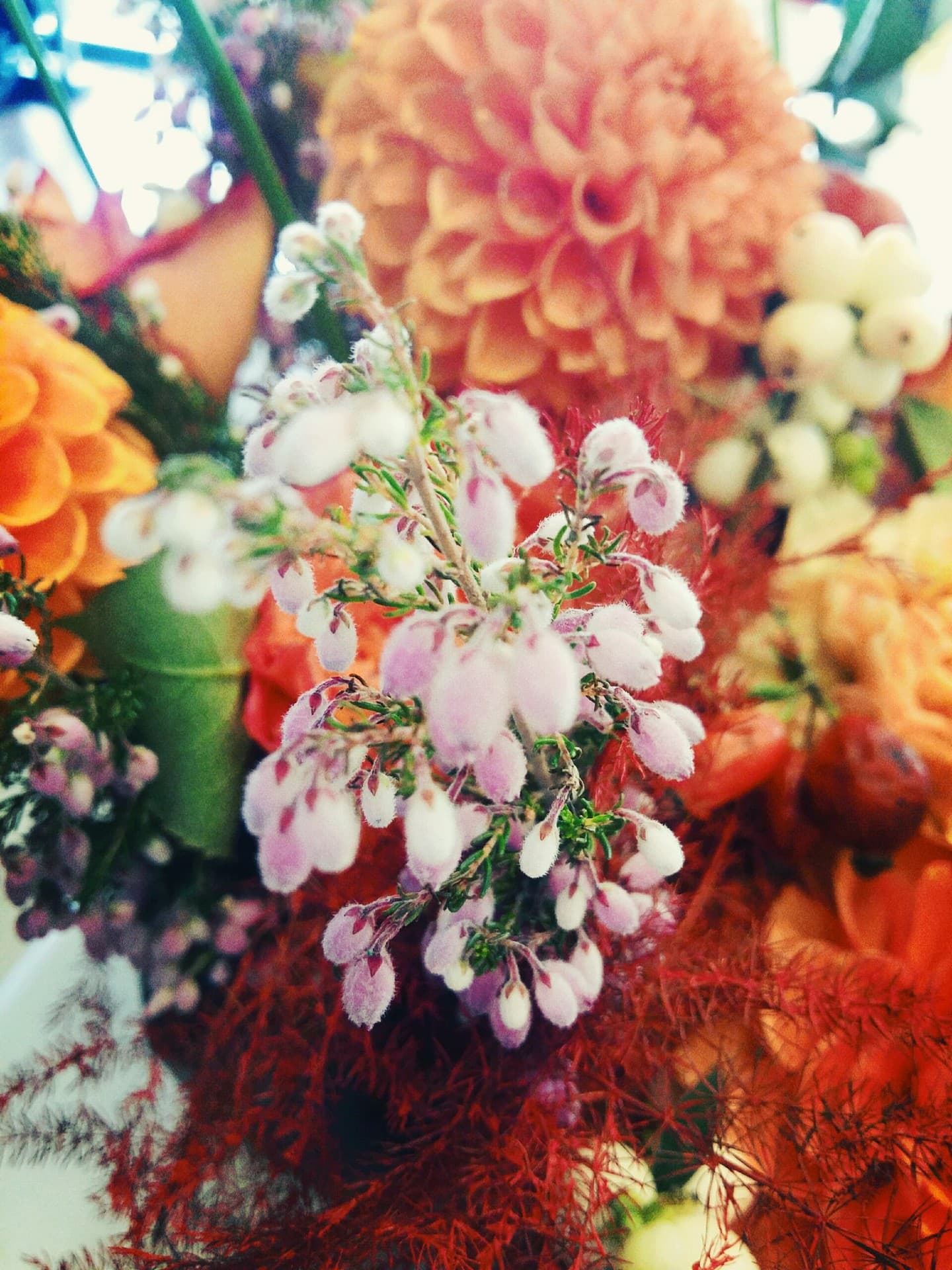 flowers