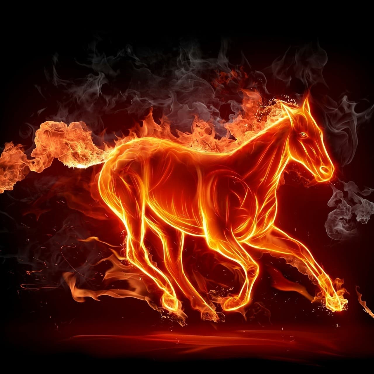 horse