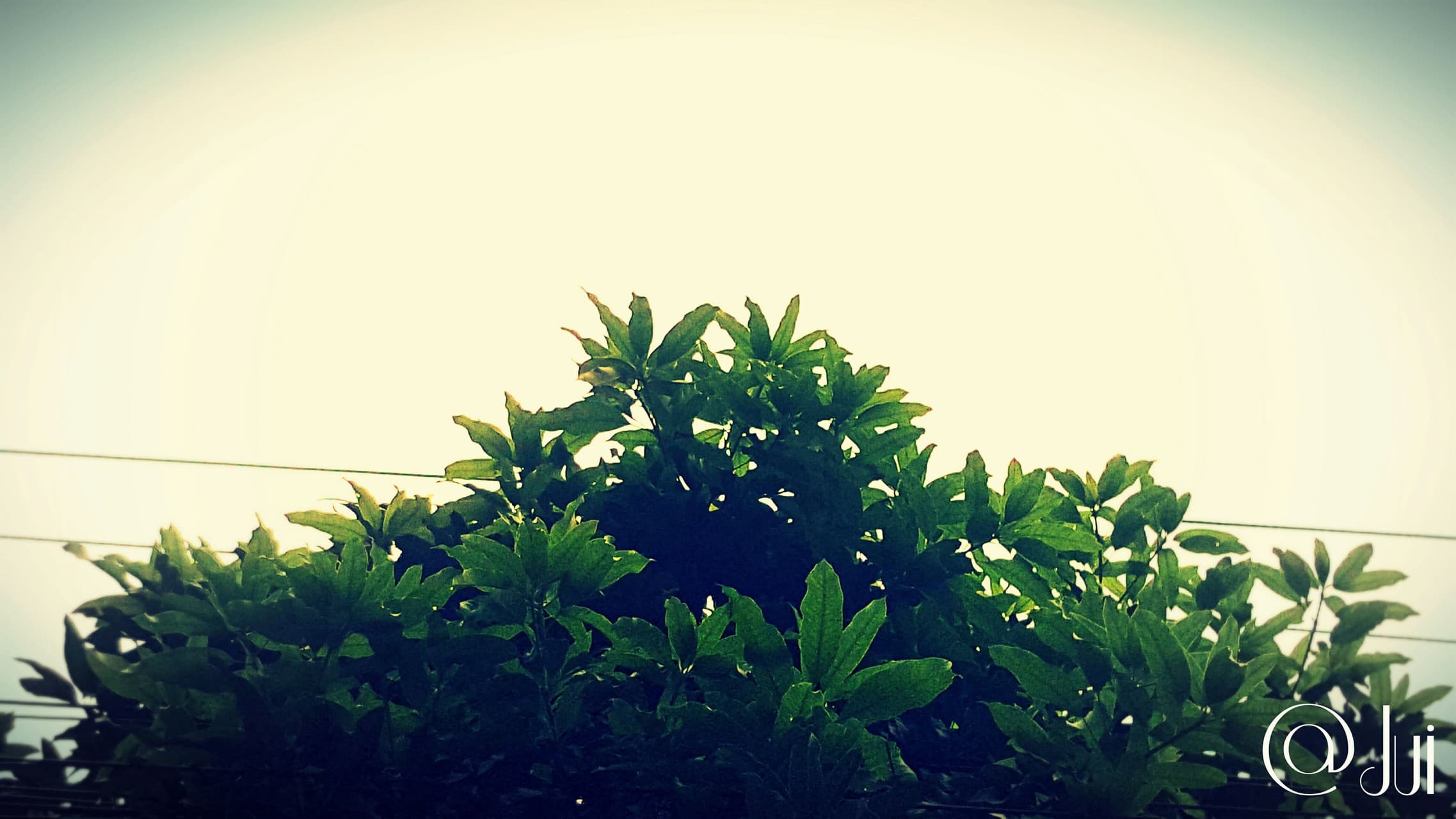 Place: Mirpur-2, Dhaka, Bangladesh.