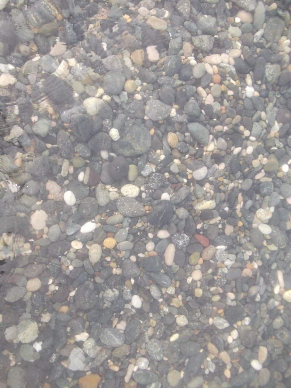 море