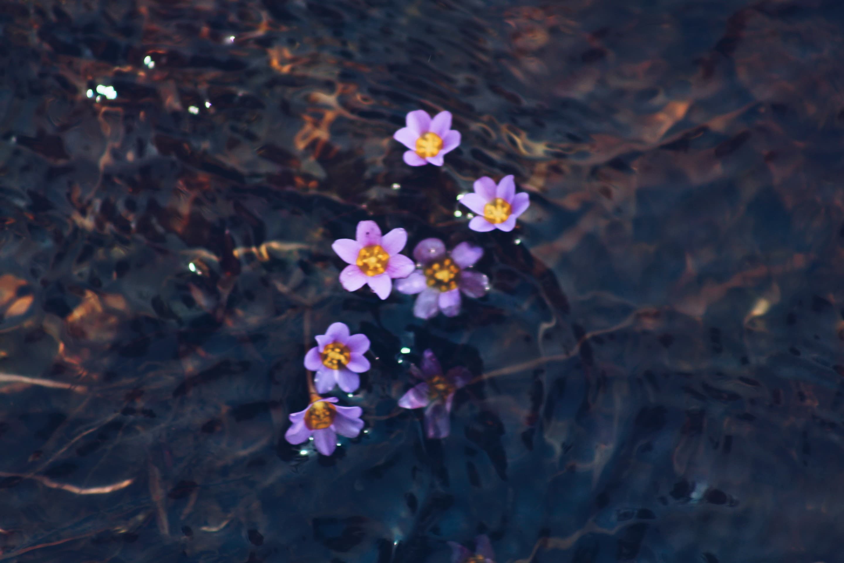 wonder photography