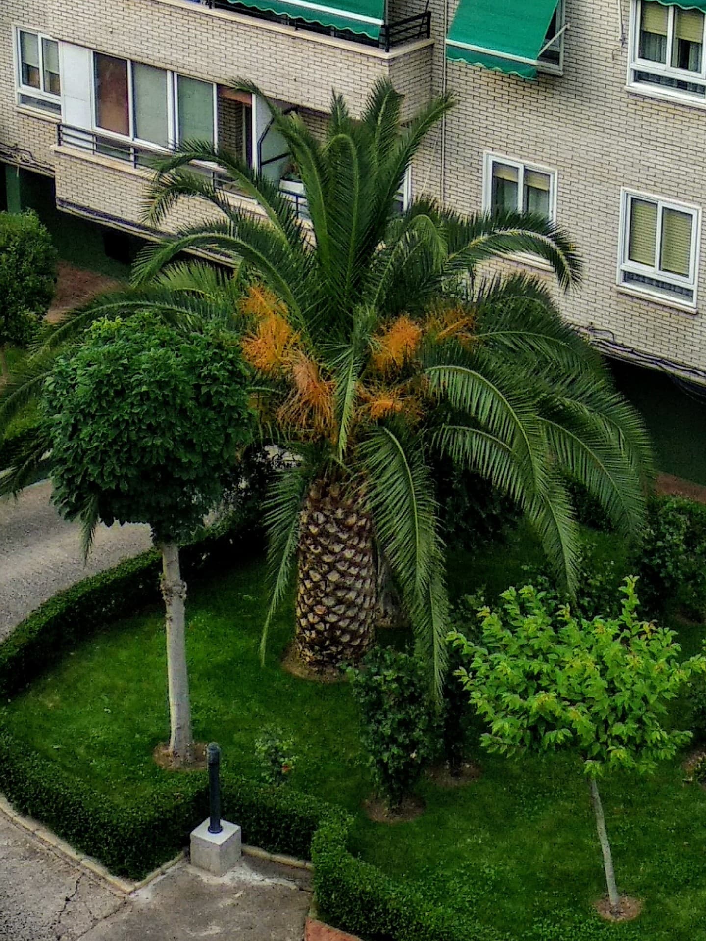 Jardin