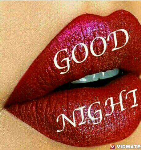 good night