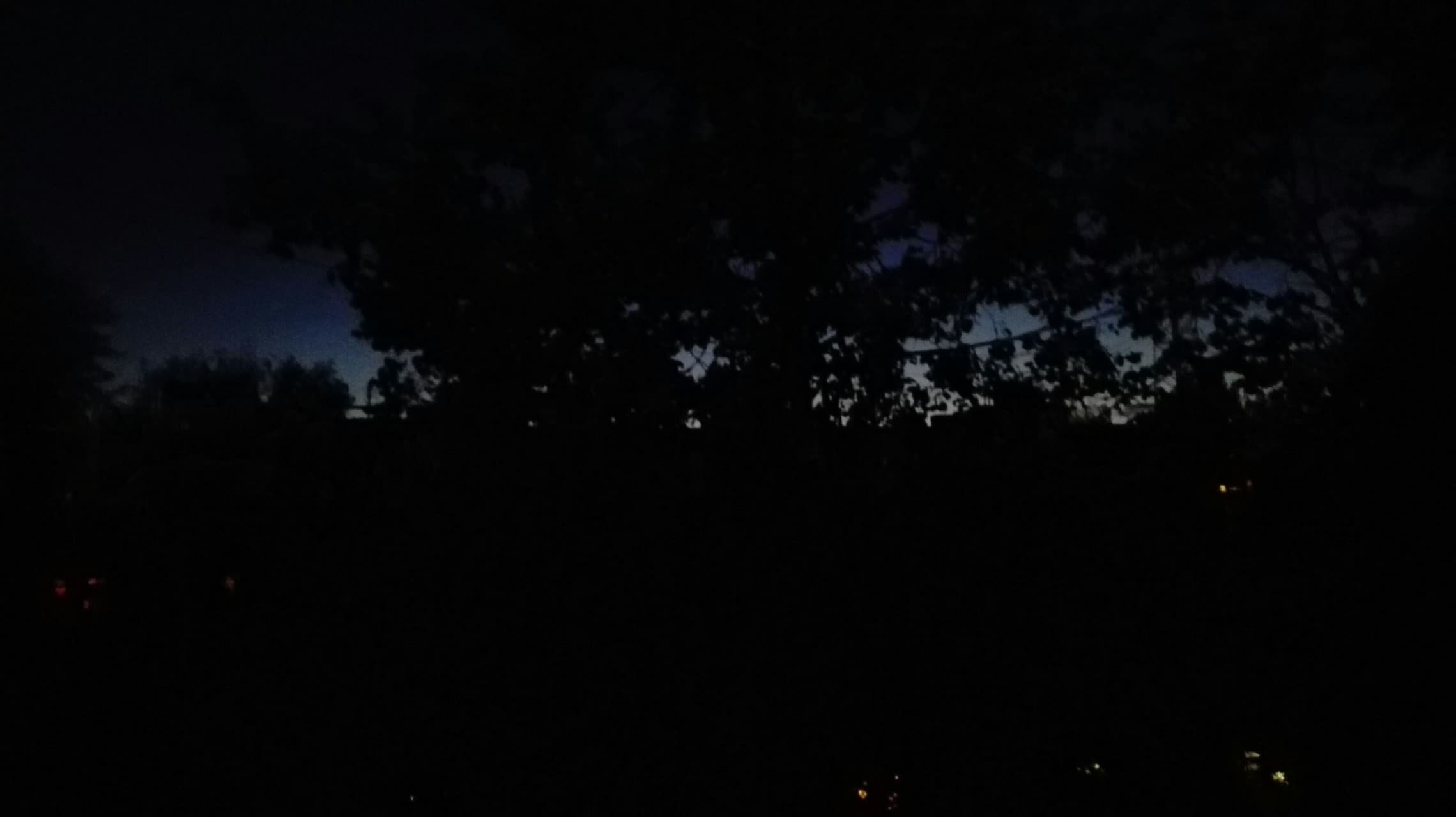 evening