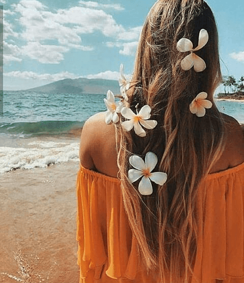 sea and you!