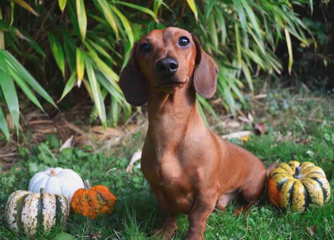 cute