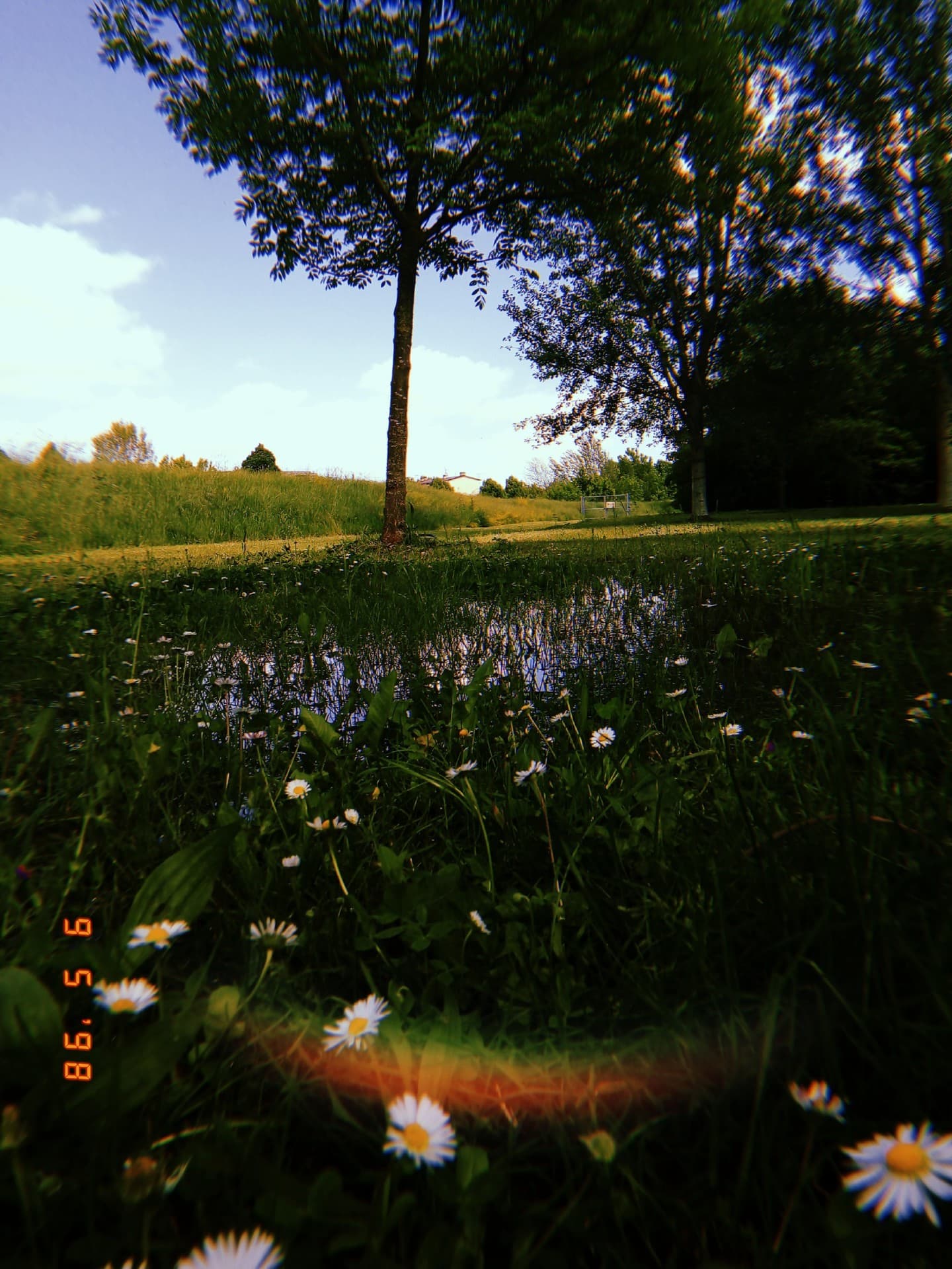 Like a New Spring