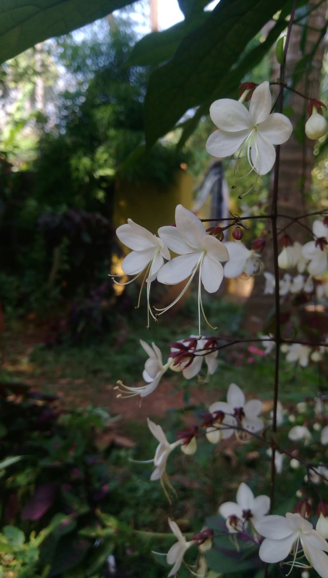 beauty of nature