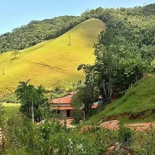 Paz.