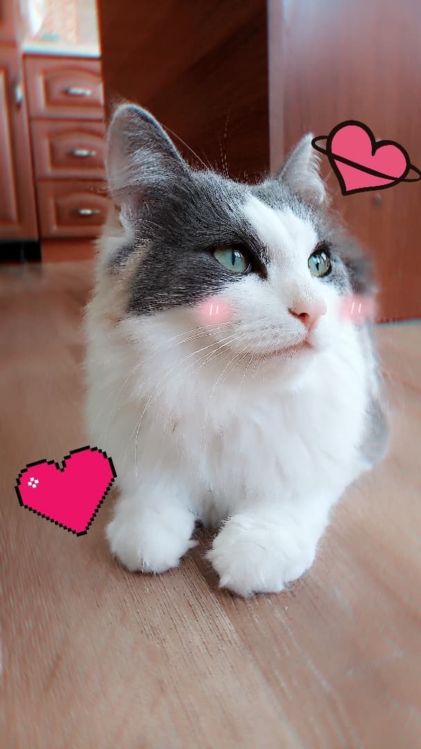 Зямуля