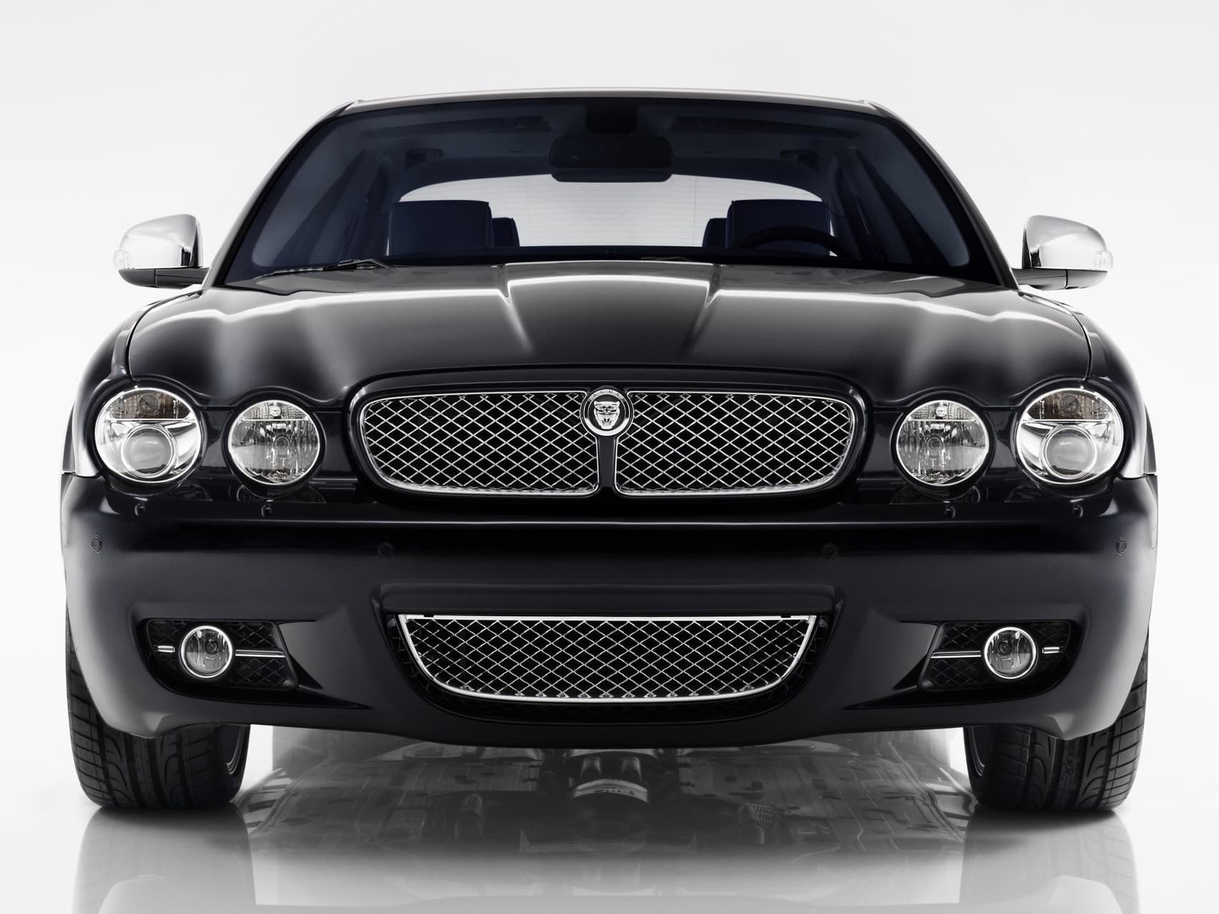 jaguar