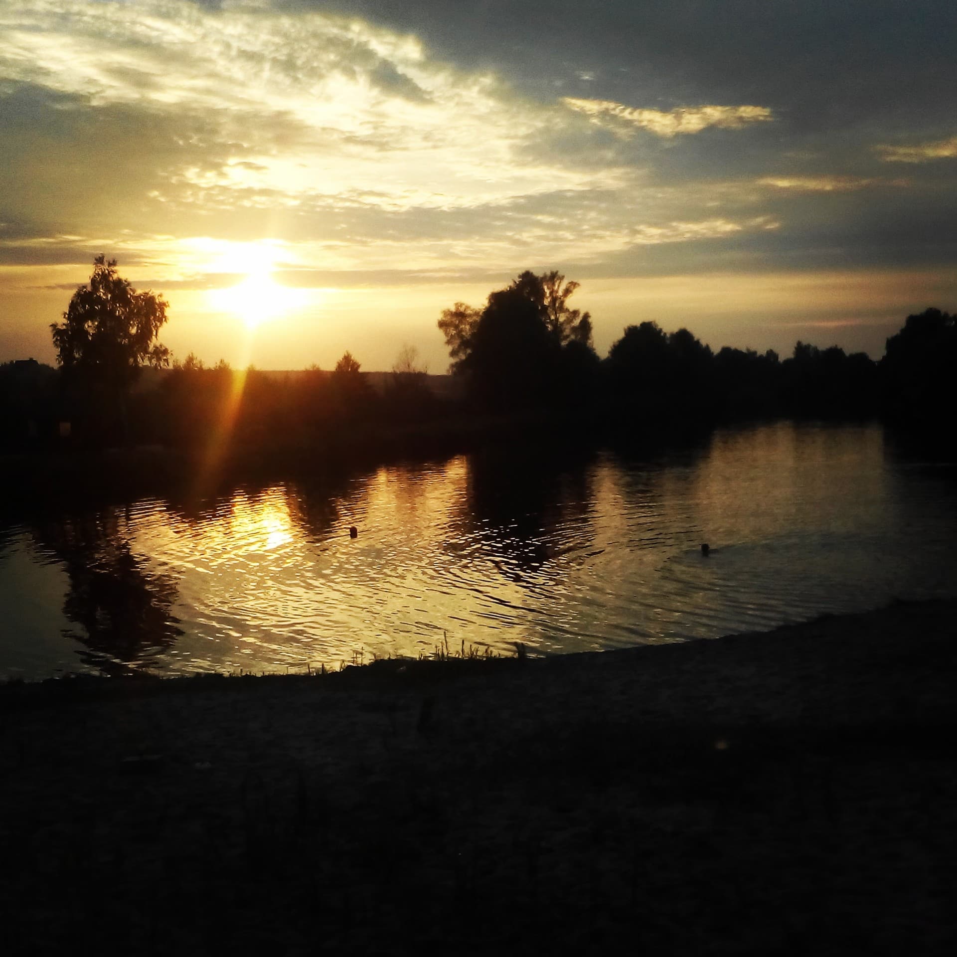 evening sun