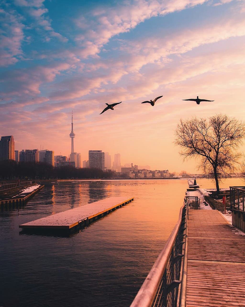 TORONTO