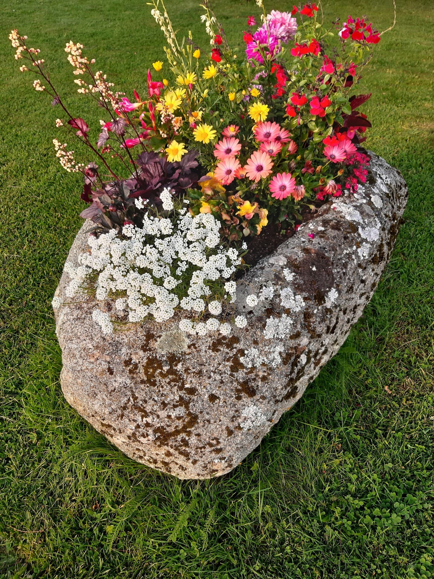 jardinière