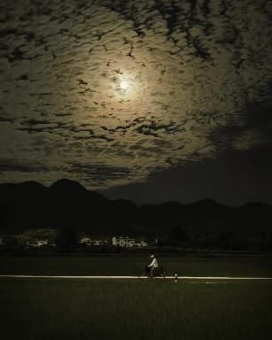 Village at night