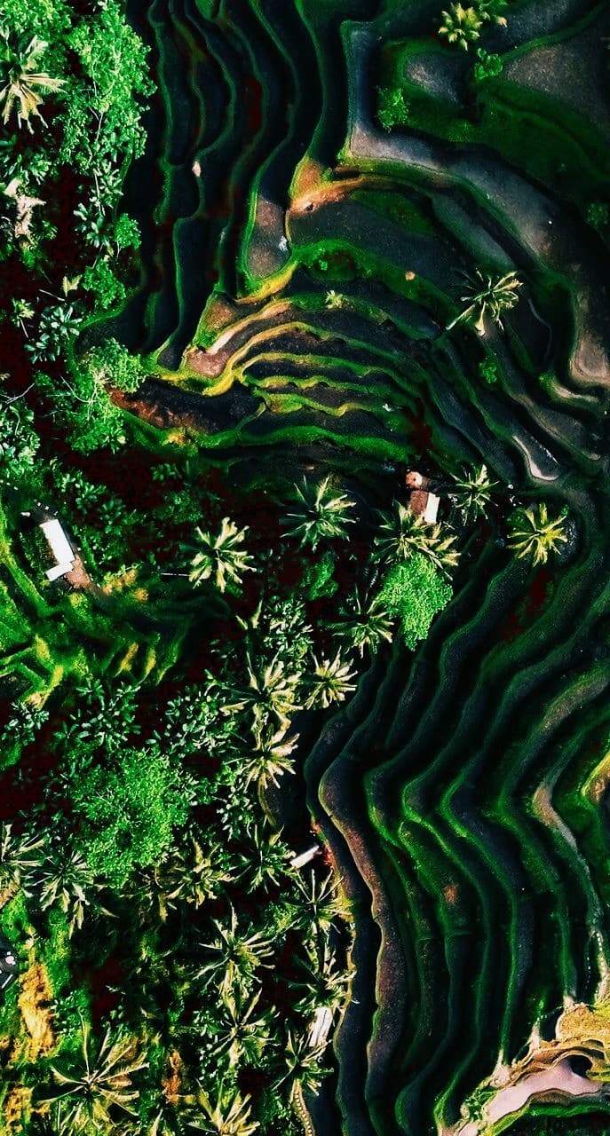 GREENERY
