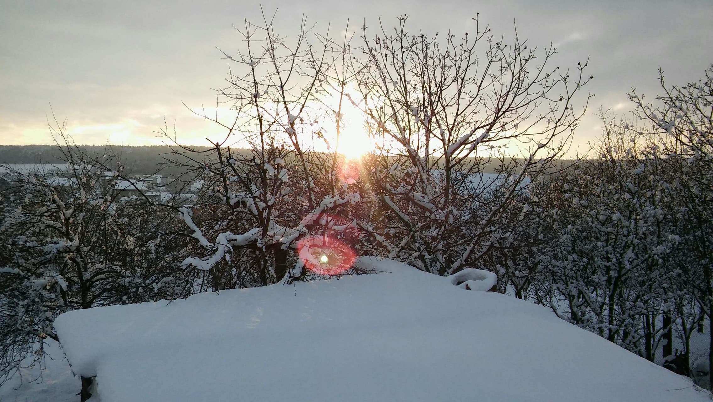Winter sunset