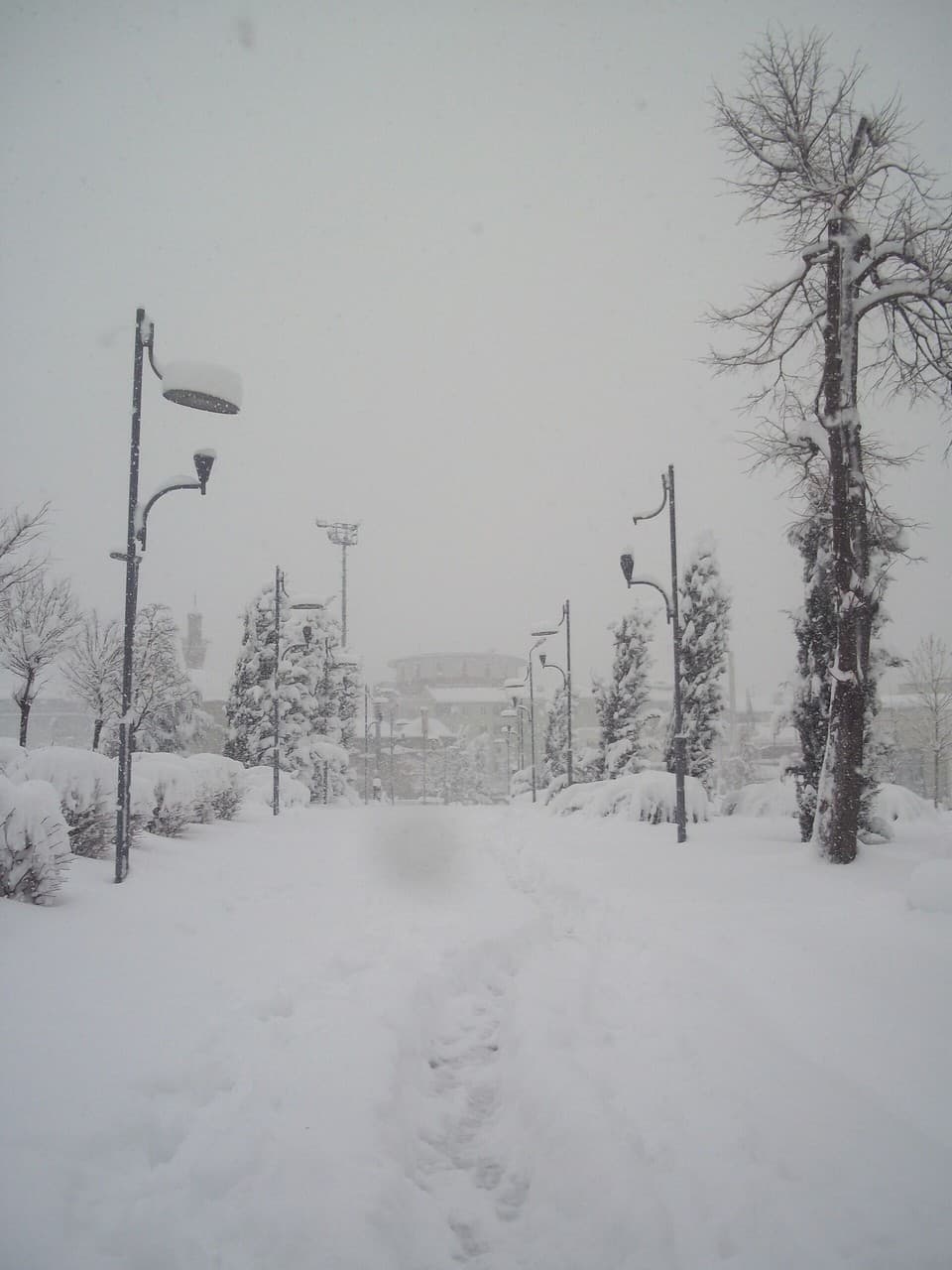 Kamberler Parkı