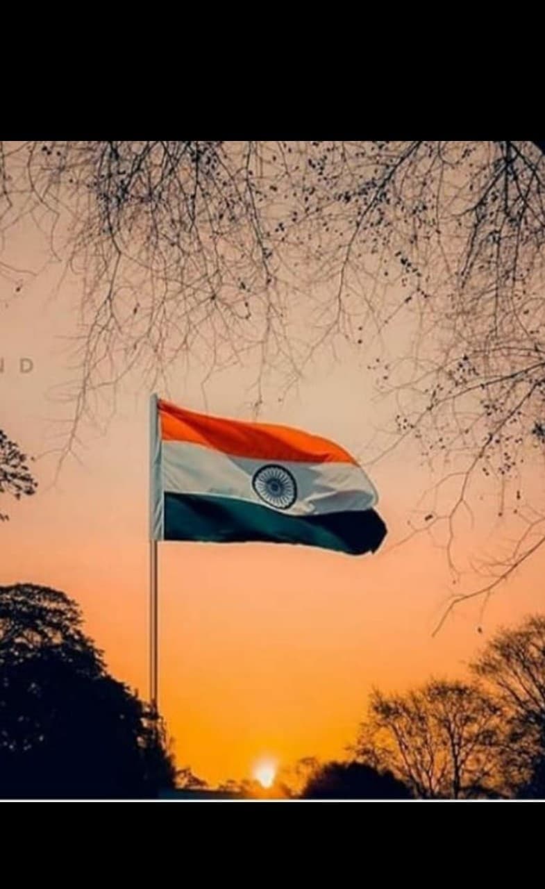 Independence Day