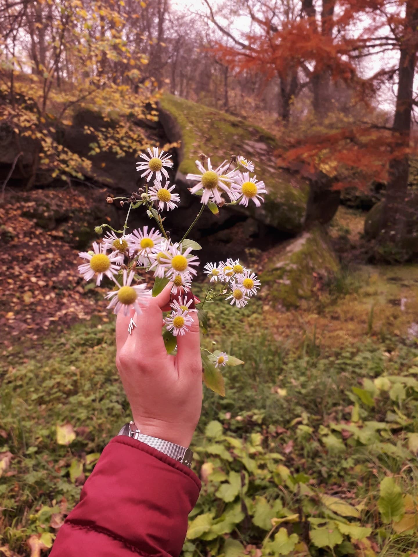 flowers