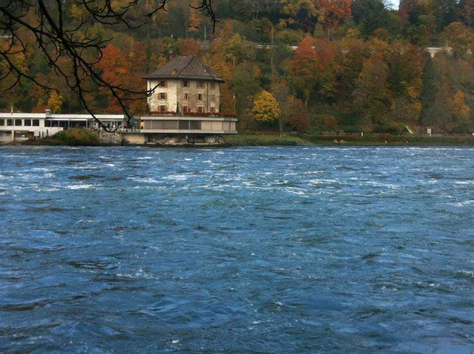 where land meets water
