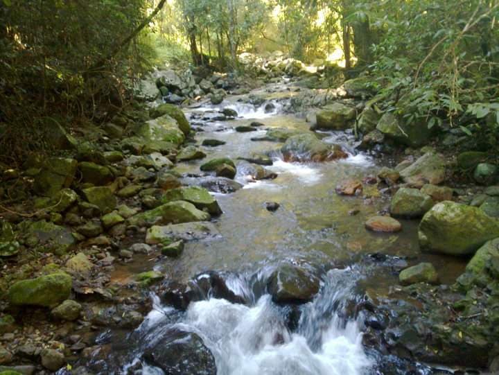 sound of nature