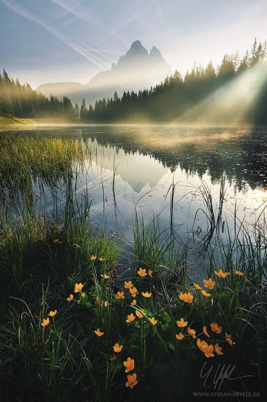 Sunrise
