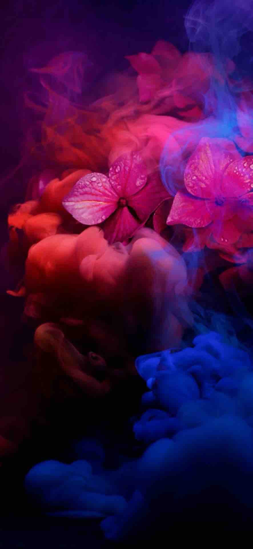 liquid flower
