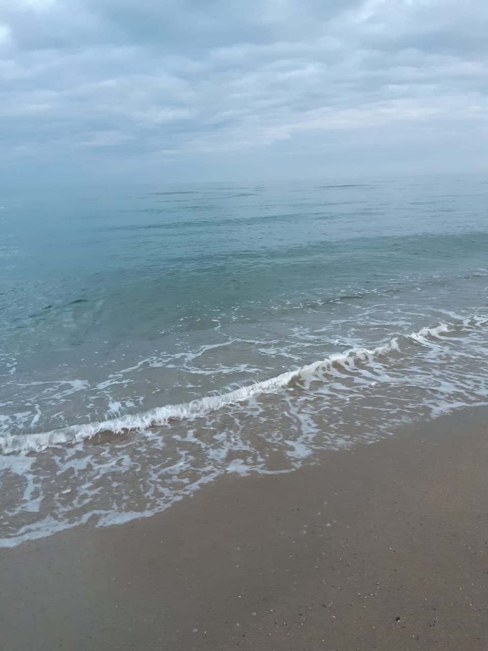 mer