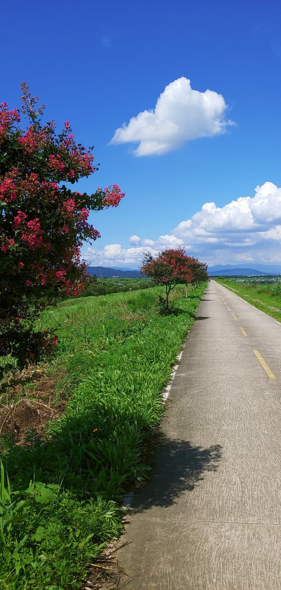 a riding with  a hot sun.^^