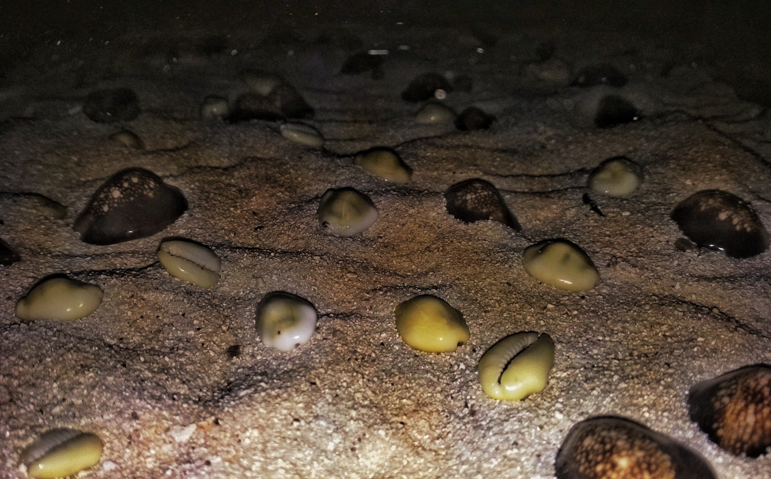 Sand & Stone