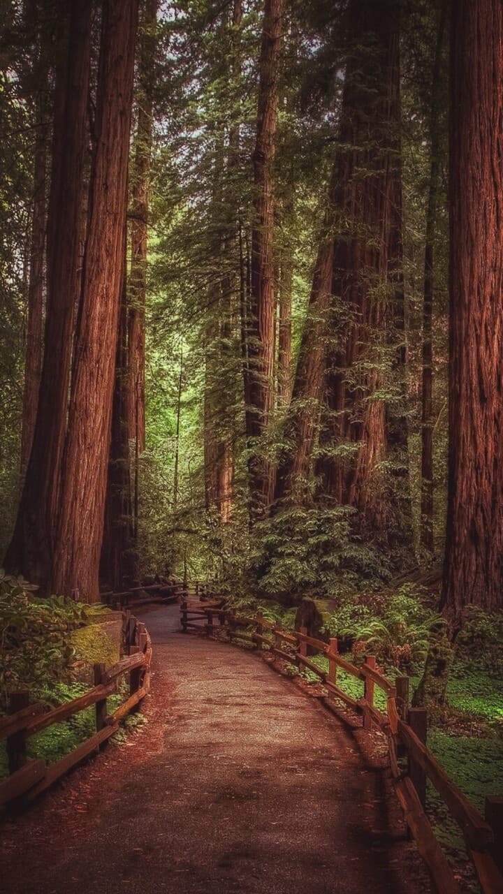 #nature