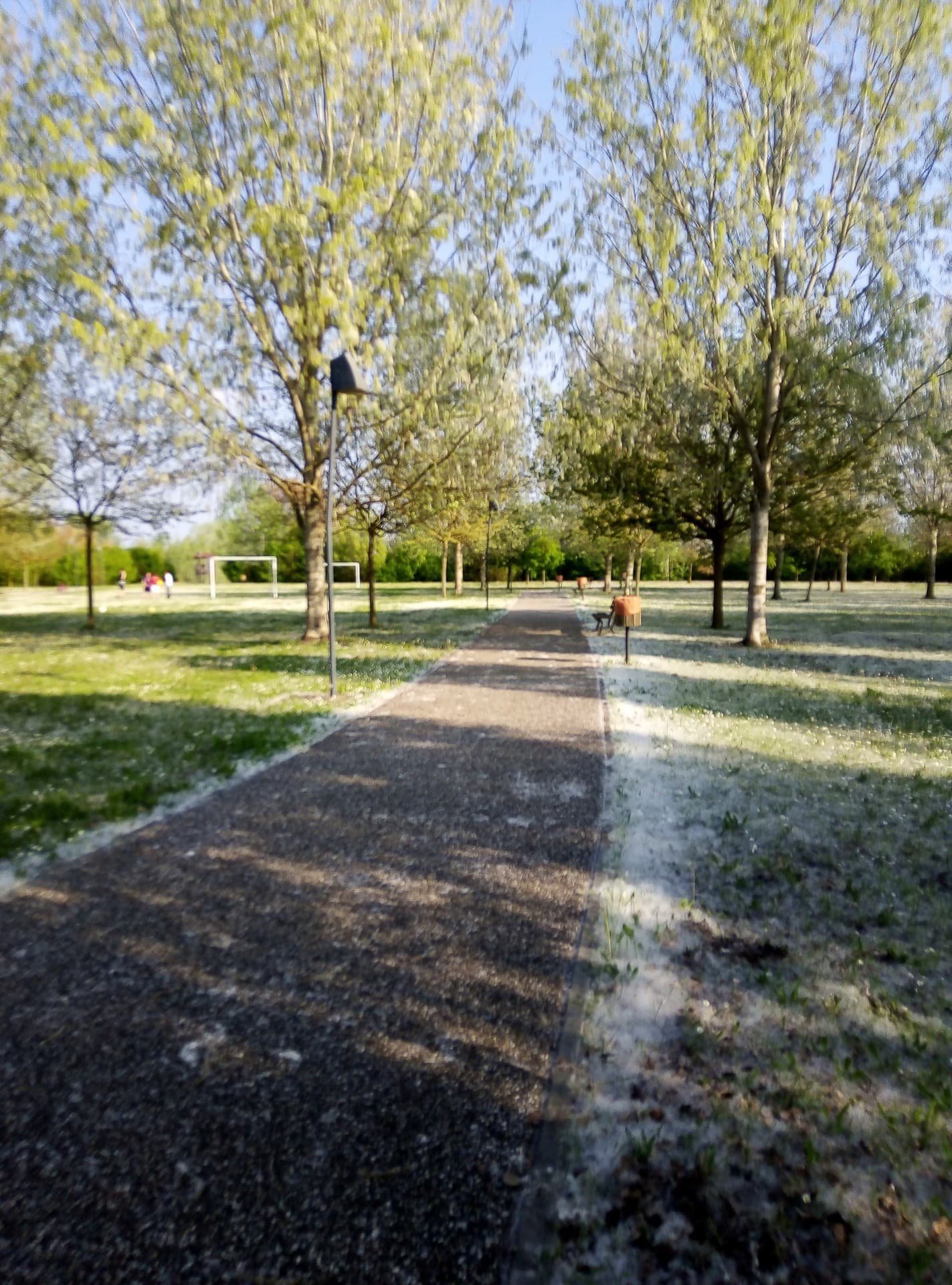 Malalbergo City