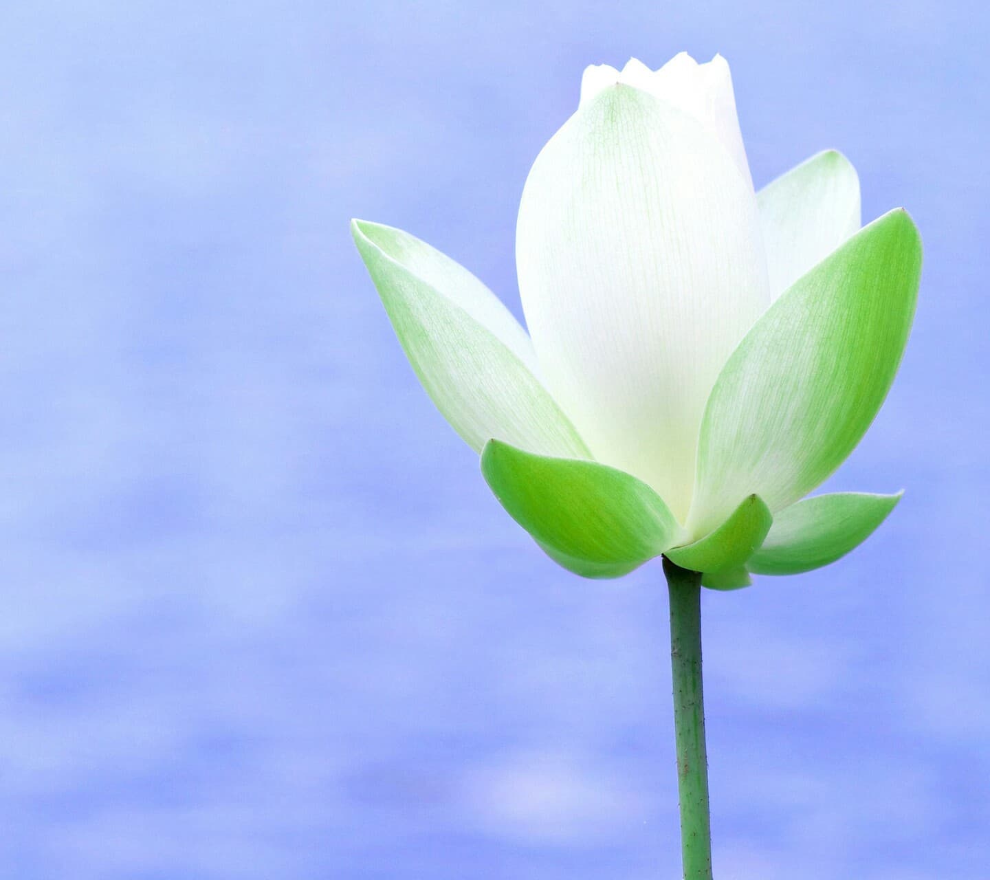 Hope