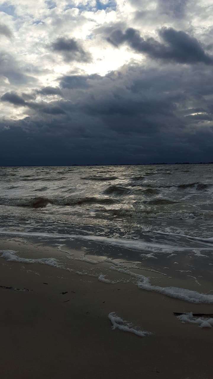 Dark Water