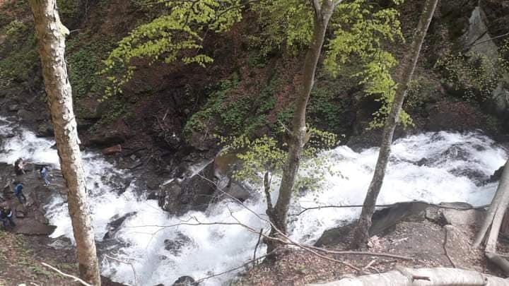 Transcarpathia