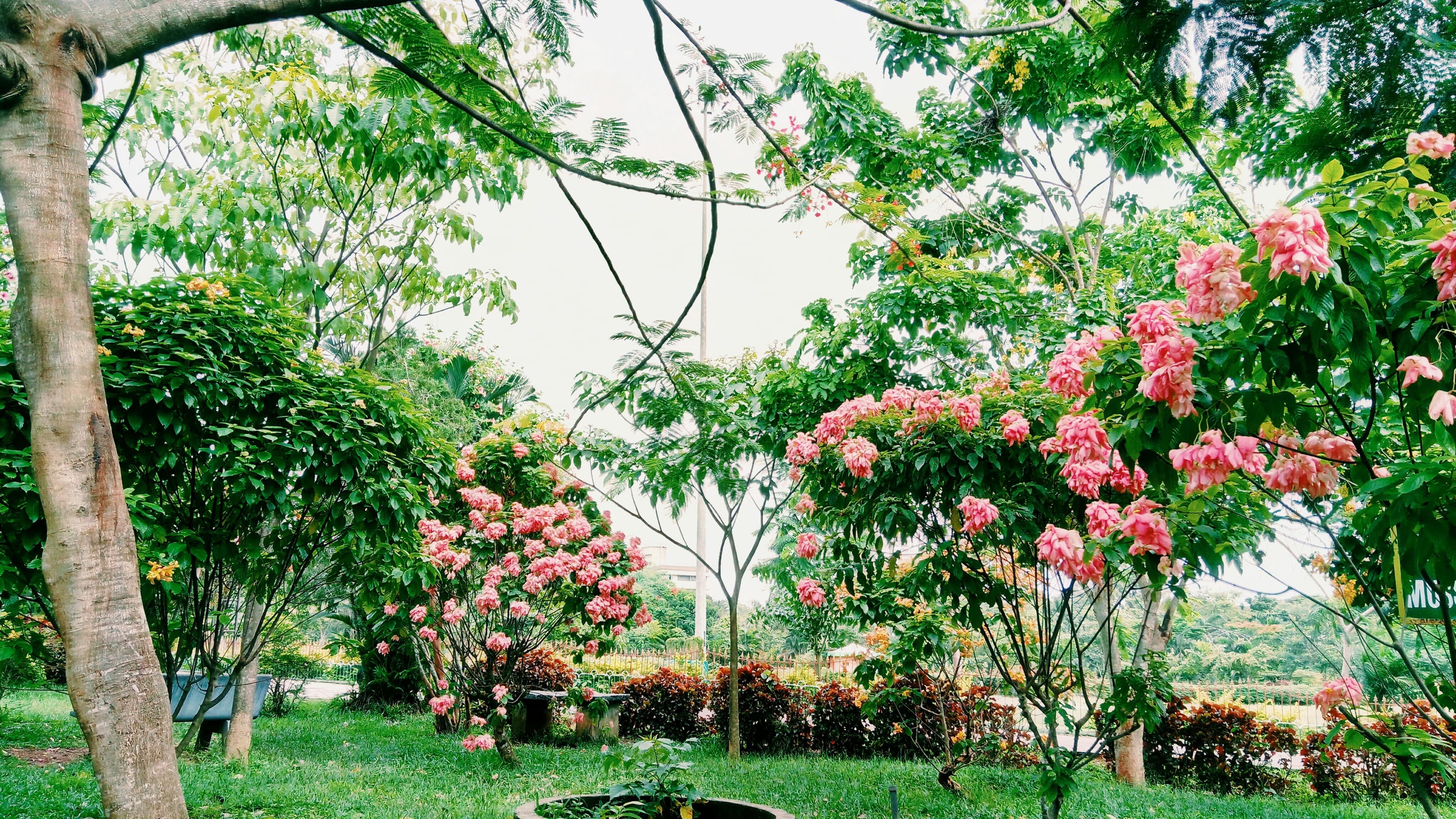 park