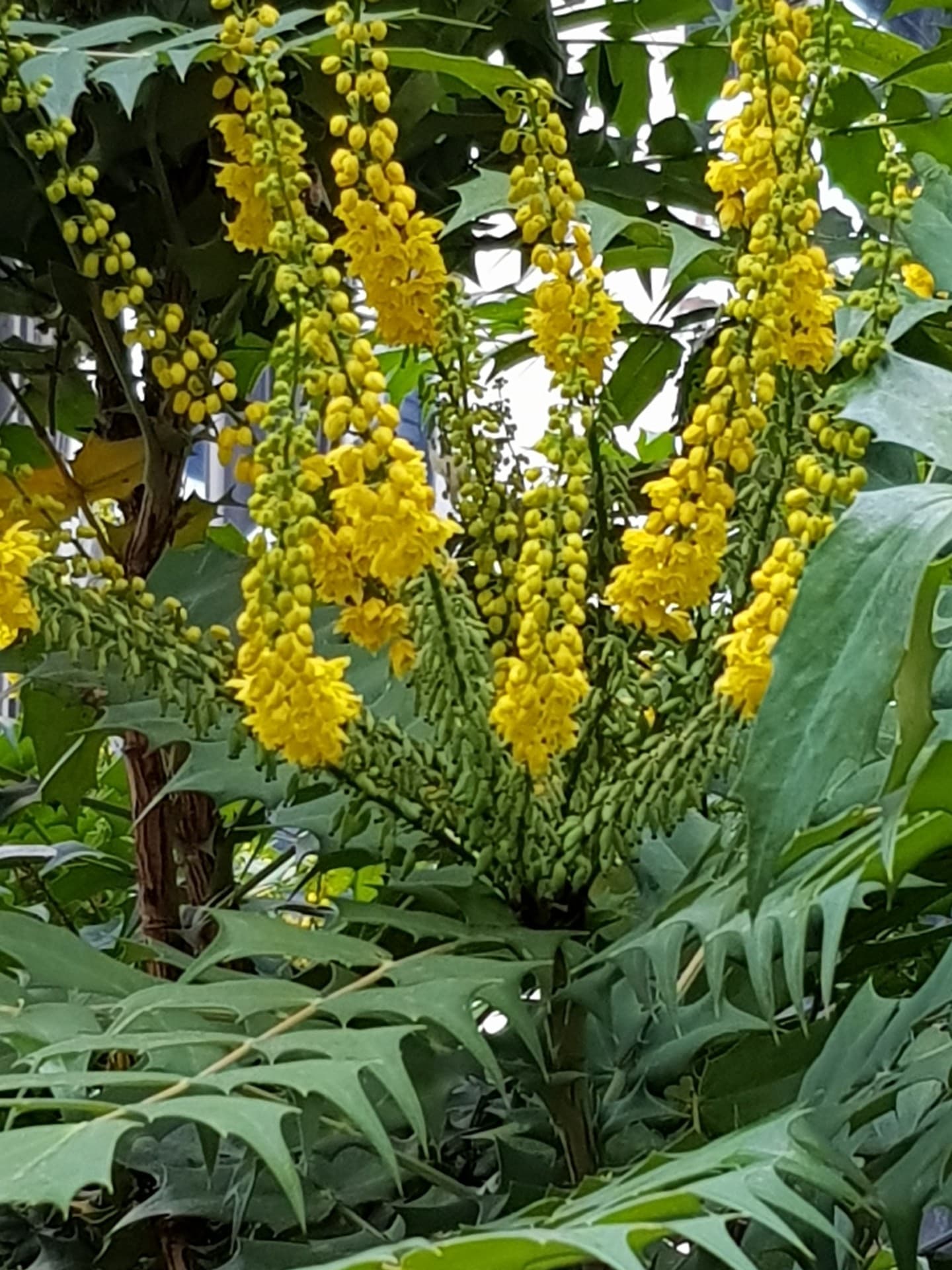 merveille de la nature