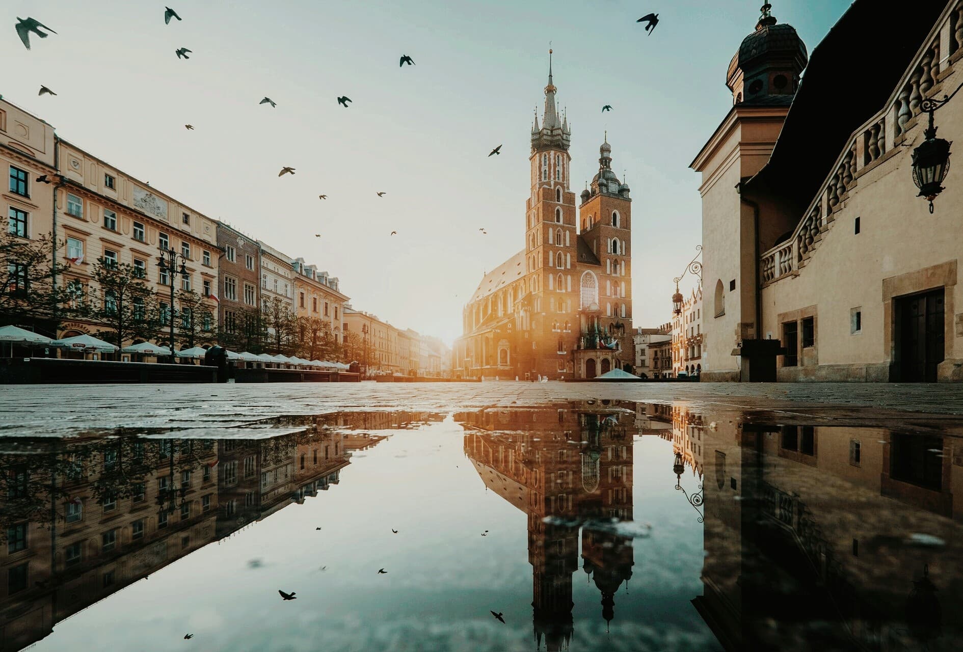 city