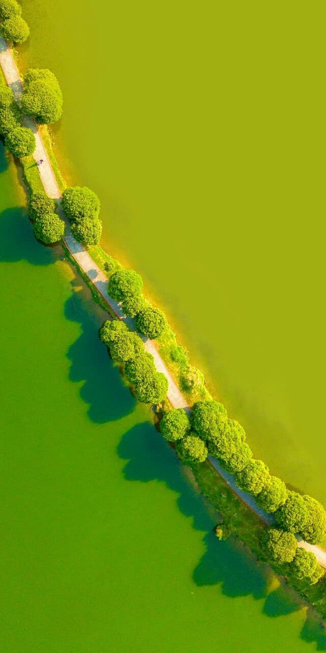 ,