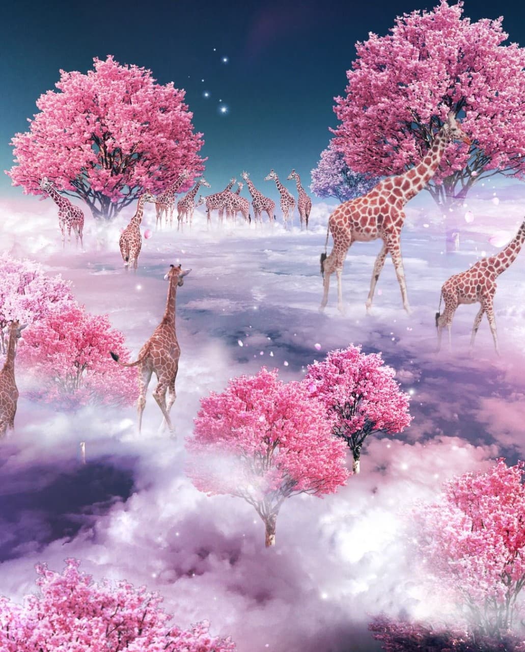 Fantazy