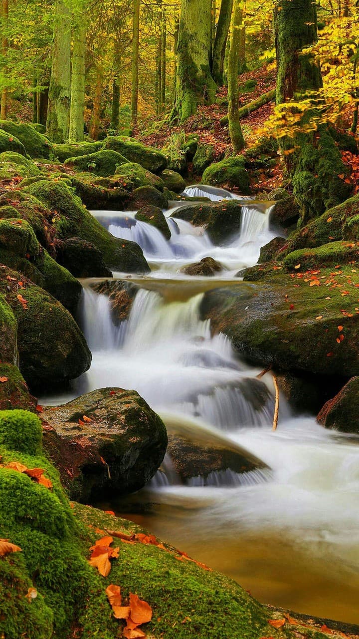 Waterfall