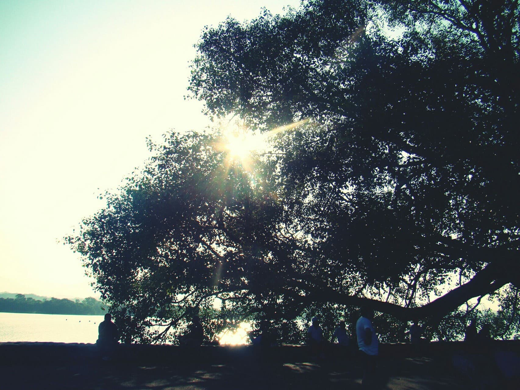 nature