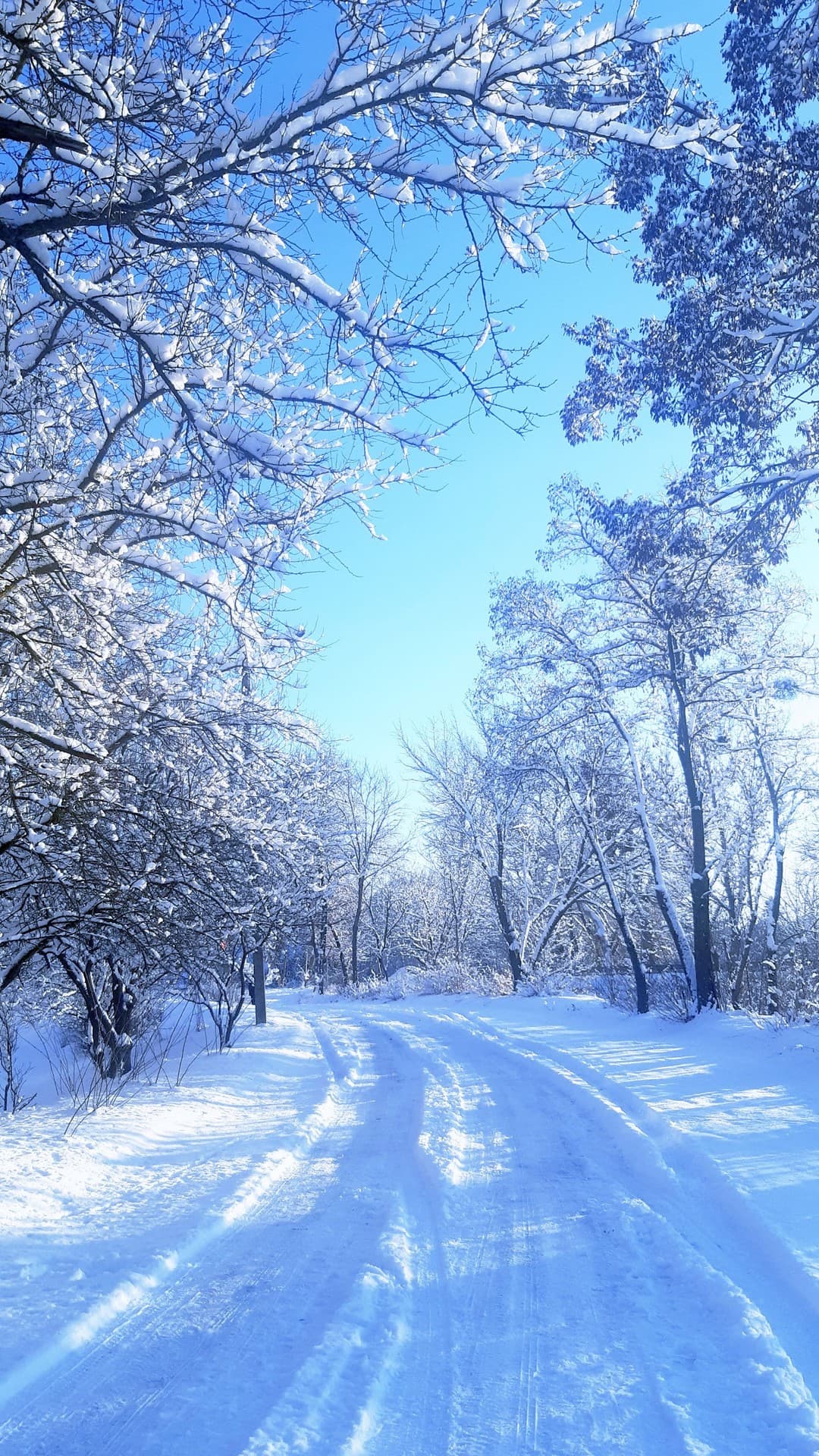 Snow