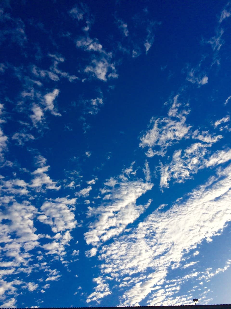 puro cielo