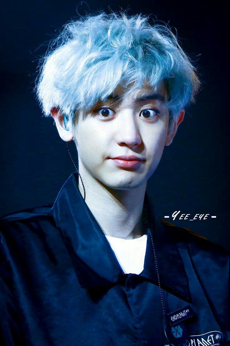 chaneol