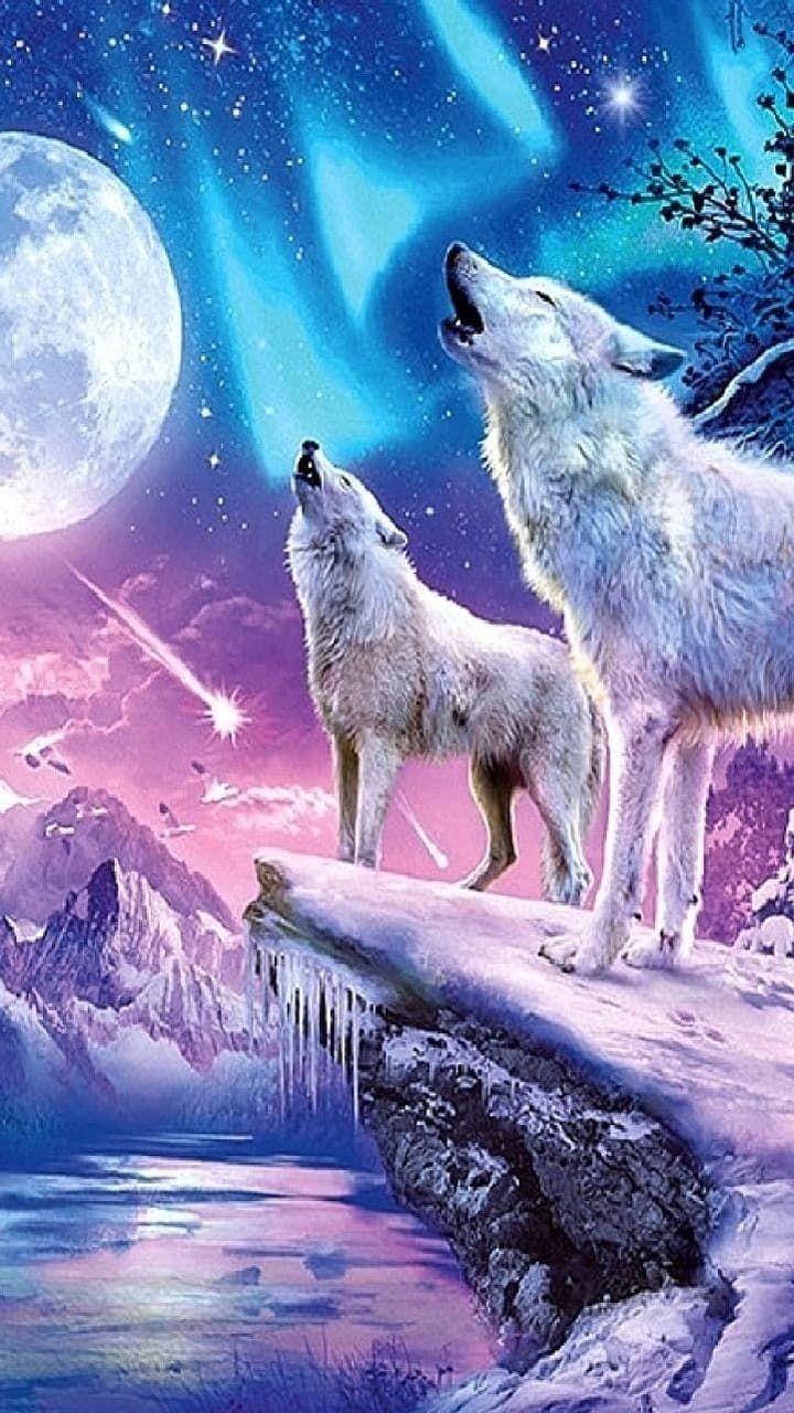 trop beaux les loups