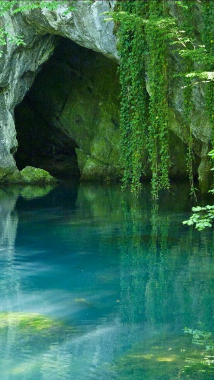 the green journey.