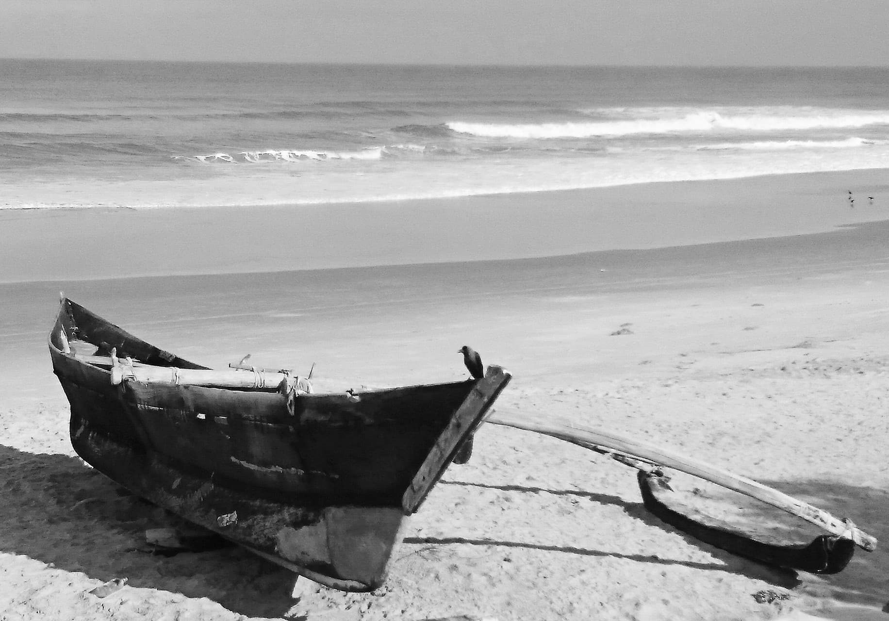 The Sail of Life