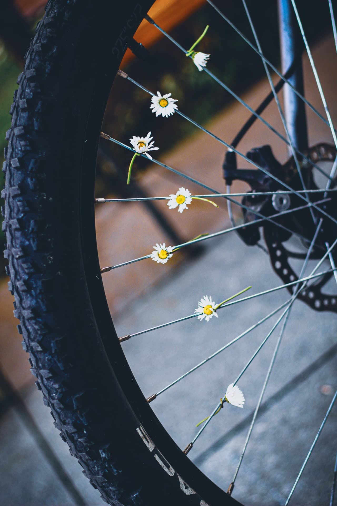 spring is here